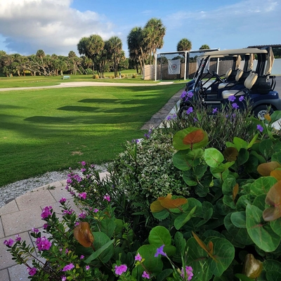 pitchcagescartswebweb