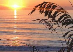 Sea-Oats-and-Sunriseweb